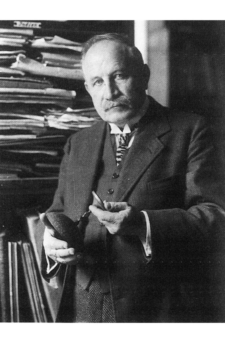 Йозеф Стржиговский - - (фото из открытых источников сети Интернета)