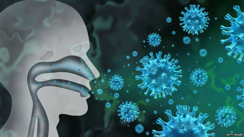 Риновирусы. Источник: Яндекс картинки