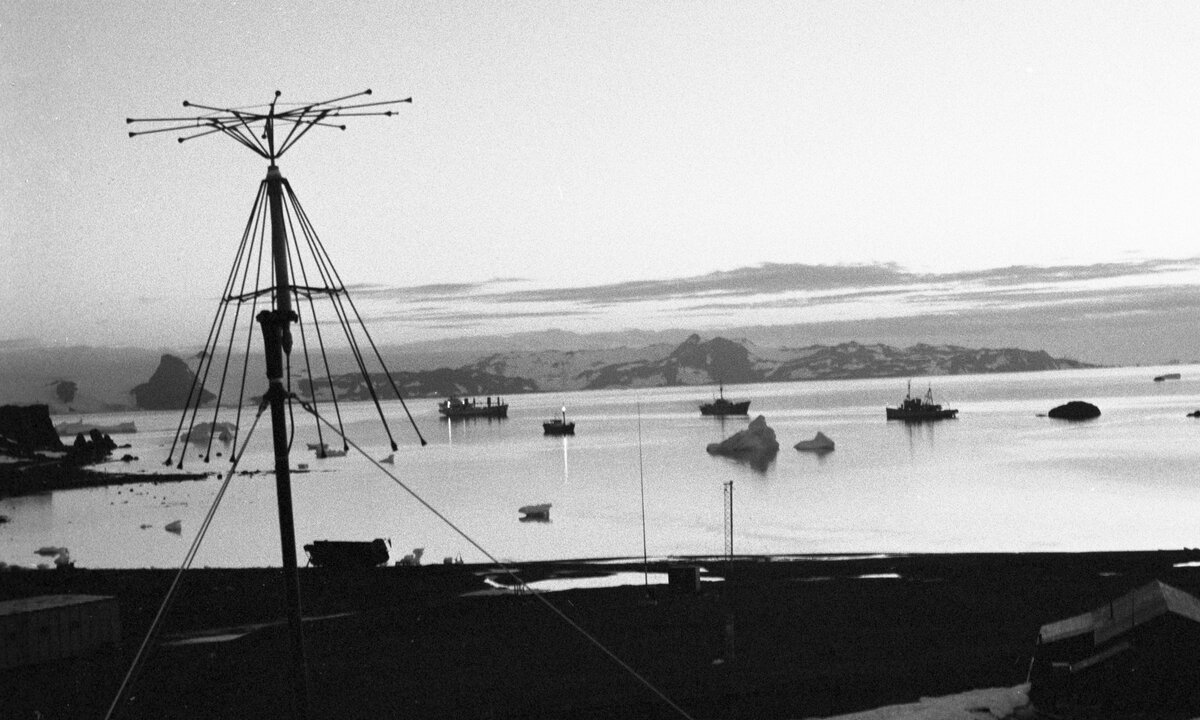    Станция была названа в честь выдающегося российского мореплавателя Фаддея Беллинсгаузена, руководившего вместе с Михаилом Лазаревым кругосветной экспедицией, которая открыла 28 января 1820 года Антарктиду / РИА Новости / Карнапелев