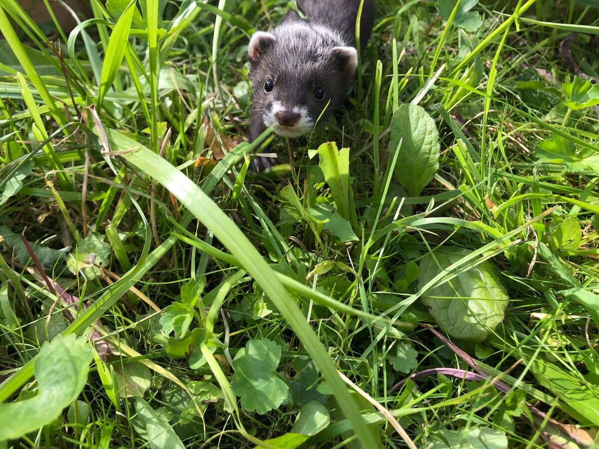 Листайте галерею