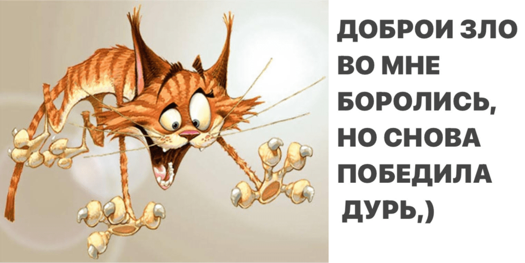 Источник: https://www.pinterest.com/pin/the-krazy-kat-is-back-dennis-jones-in-2022—193936327695622057/