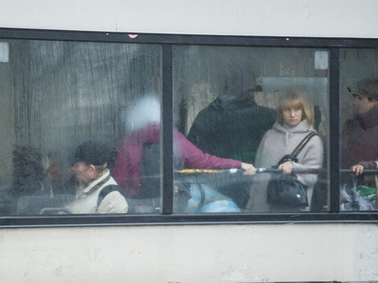     Фото: Вадим Боченков