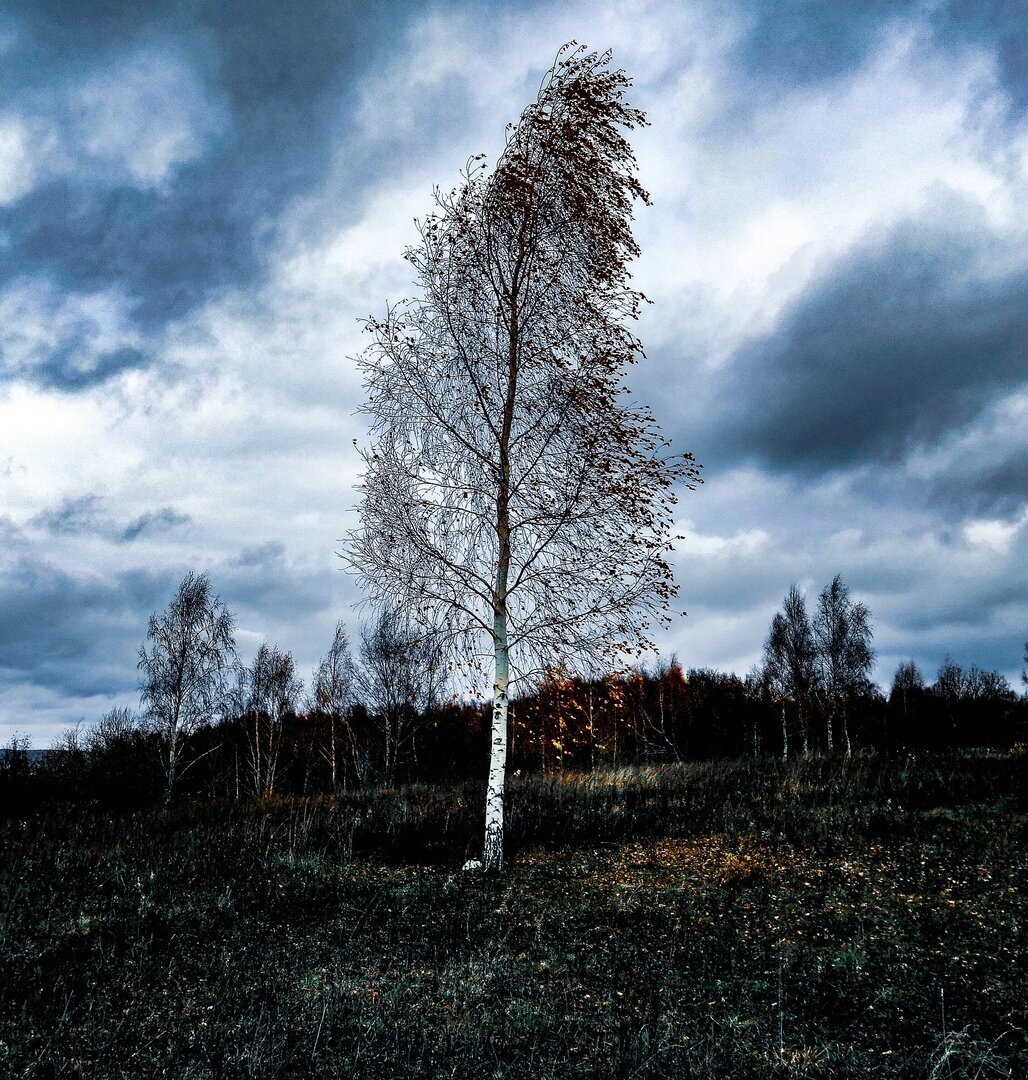 Фото с просторов Интернета