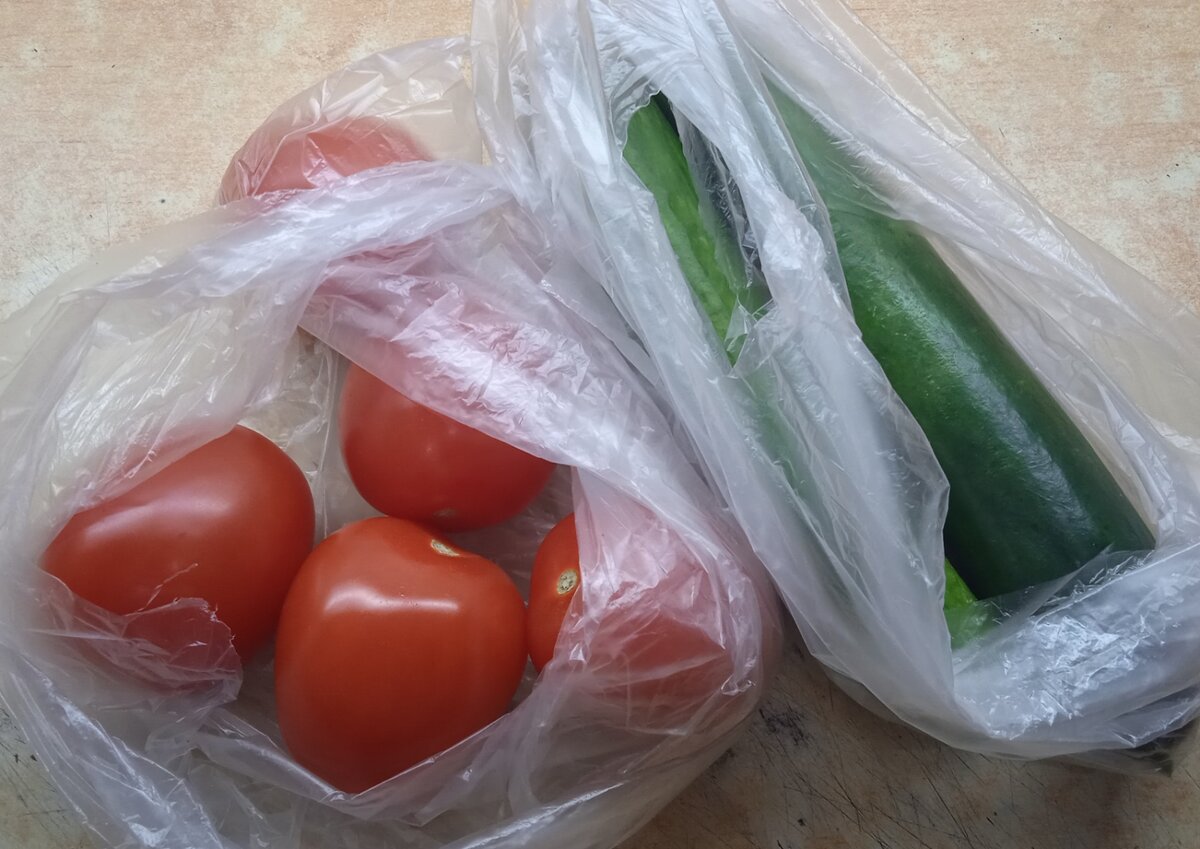 Овощи - стали стоять как "крыло от самолёта", скорей бы уже свои начали расти