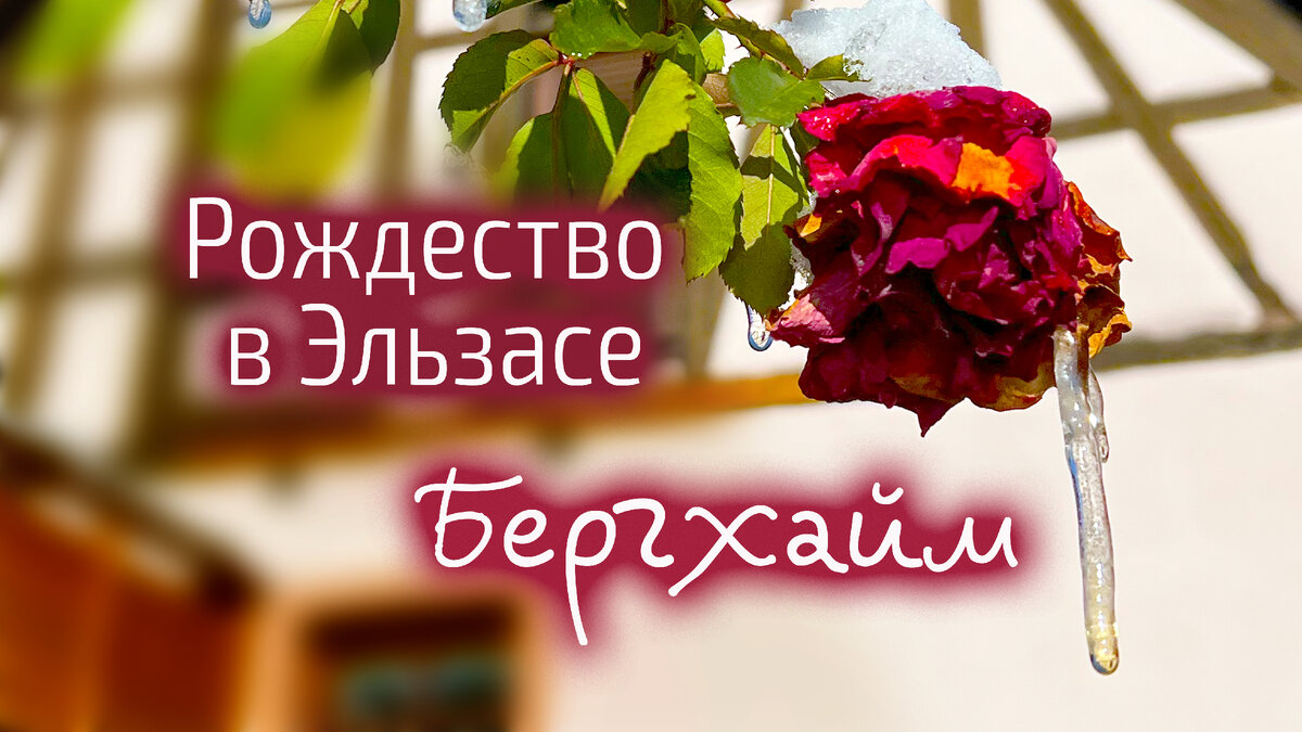 Эльзас, Франция