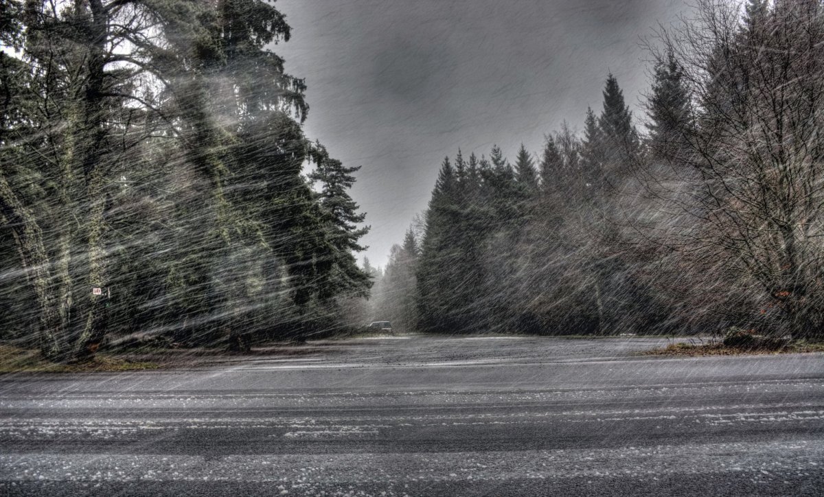 Изображение из интернета