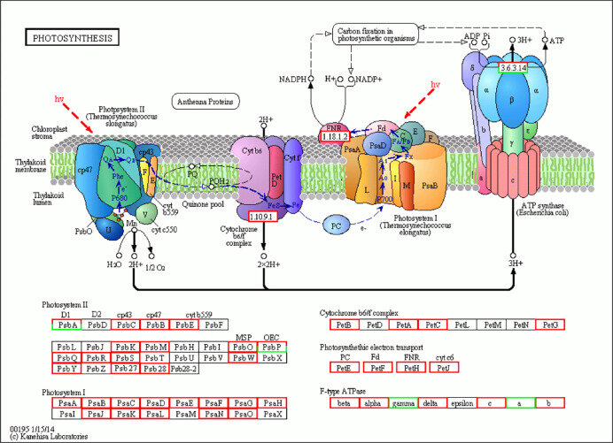 Мощная картинка из исследования. www.ncbi.nlm.nih.gov