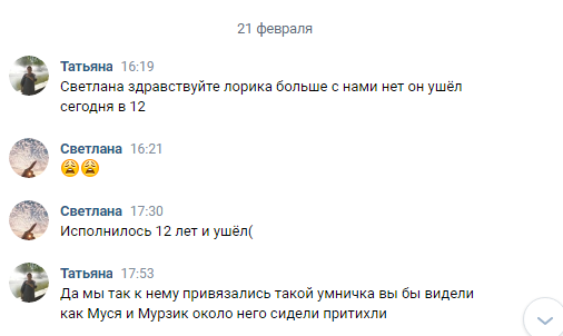 Сообщения из ВК