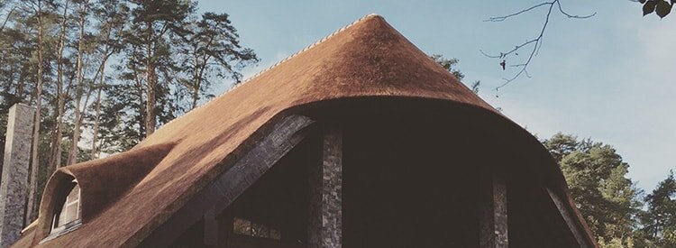  Мы «Wood Head» используем особый вид камыша: Phragmites  australis. Его специфика заключается в том, что высушенные стебли  невероятно гибки, а это позволяет воплощать в жизнь самые смелые  дизайнерские решения.