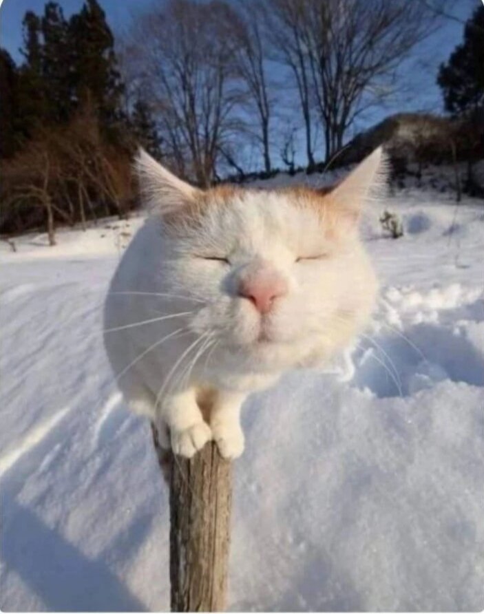 Чую весну! 