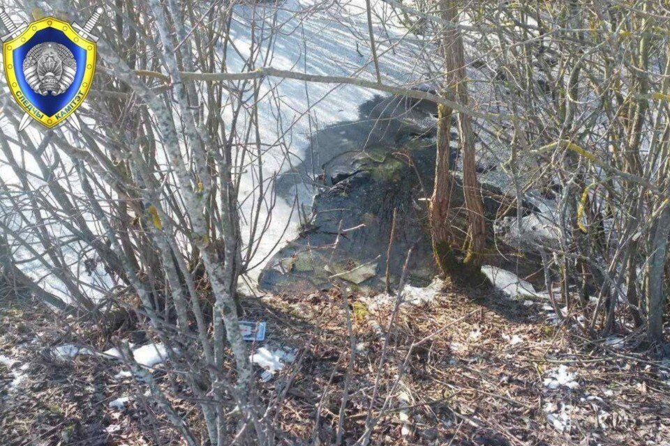     У одного из иностранцев был найден паспорт гражданина Шри Ланки. Фото: СК Беларуси