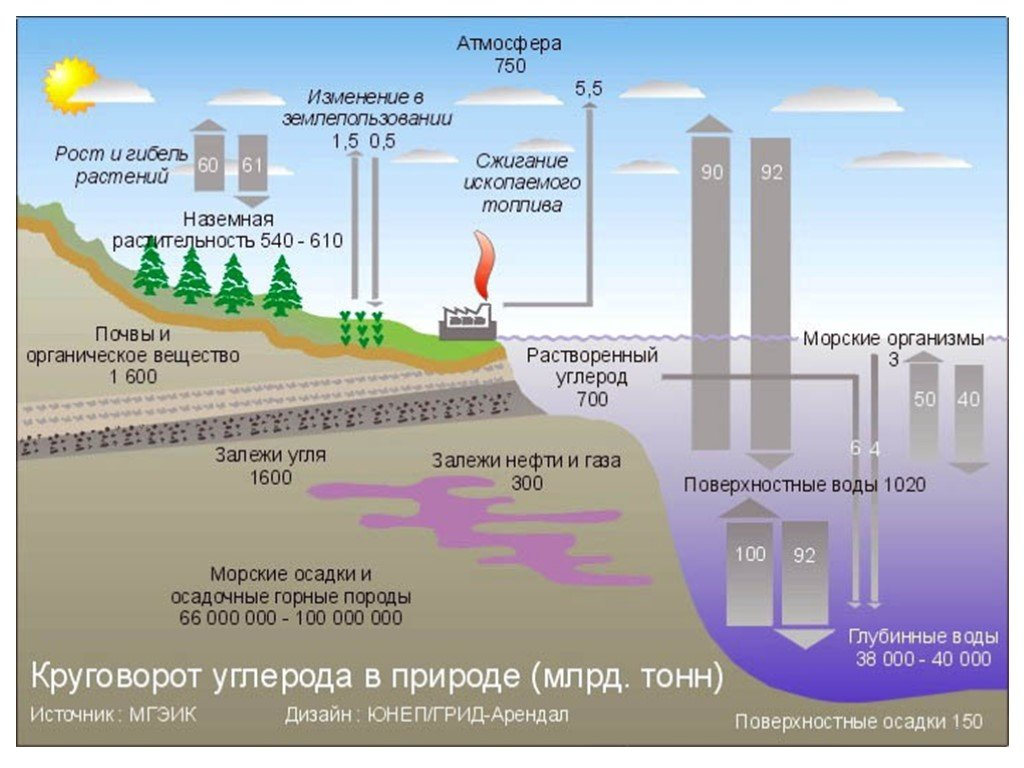 Топливо нефть уголь и метан загрязнение. Круговорот углерода (по ф. Рамад, 1981). Круговорот углерода в атмосфере схема. Со2 круговорот углерода в природе. Круговорот химических элементов круговорот углерода