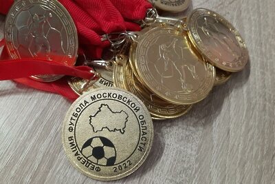    Награды победителей и призеров чемпионата Московской области по футболу ©