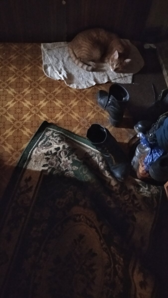 Личное фото.