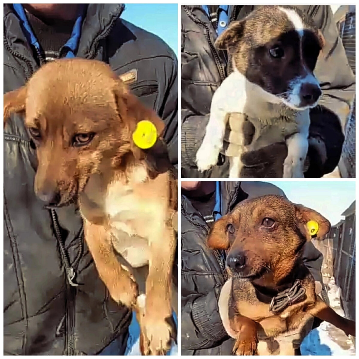 У них ещё нет имён, но они уже счастливчики.