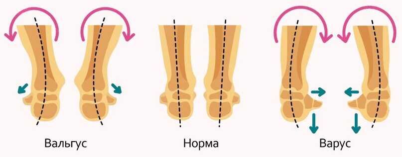 Картинка из интернета