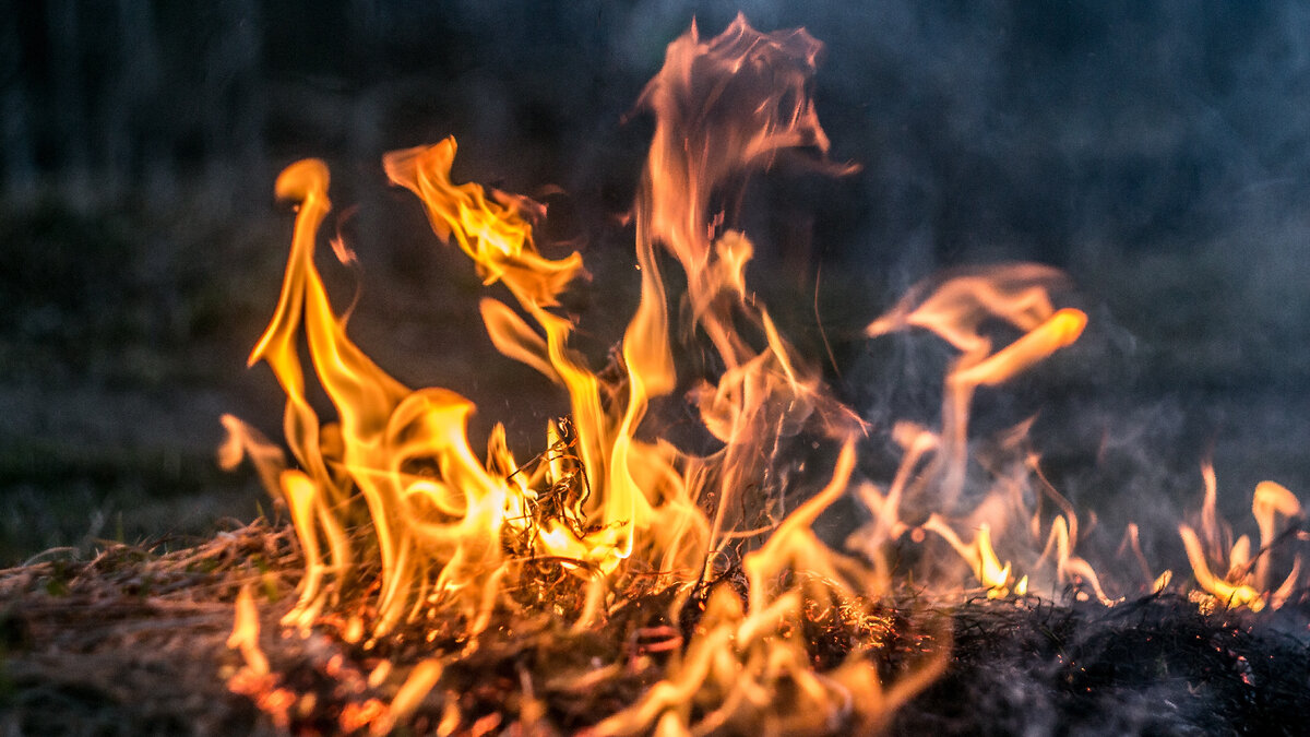   Фото: iStock