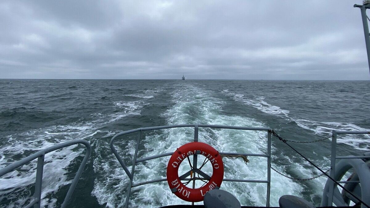    ВМС Украины и Франции провели в Черном море тренировку типа PASSEX© Фото : @navy.mil.gov.ua/Facebook