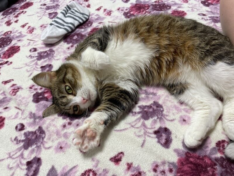 фото- собственность канала