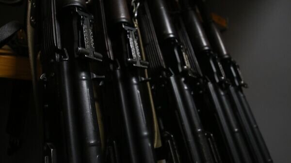    © Sputnik / Александр Жибуль