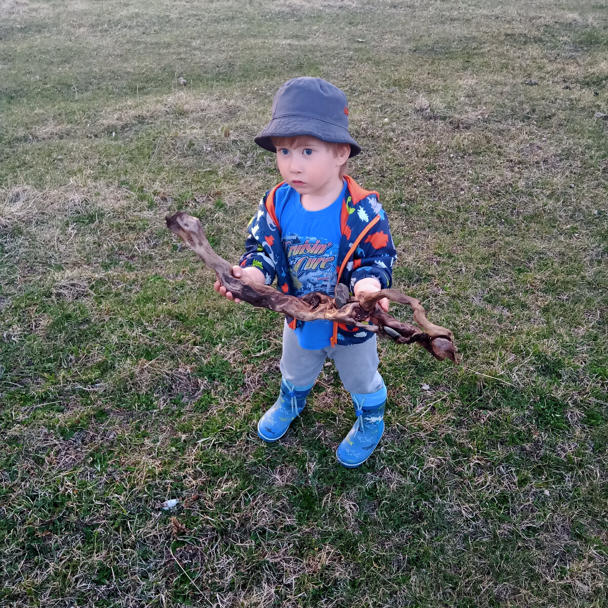 Дети с удовольствием участвуют в таких поисковках.