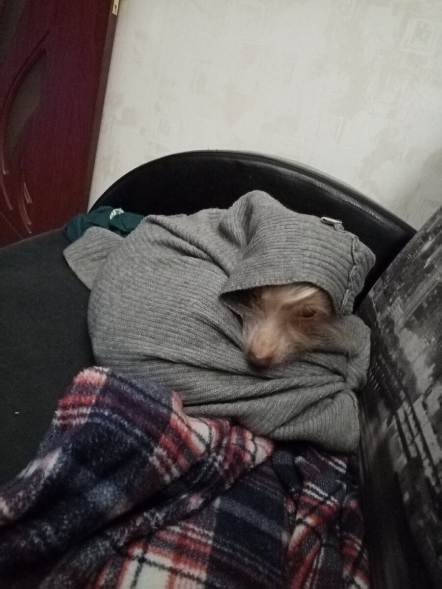 Парня сколько ни кутай, всё ему прохладно