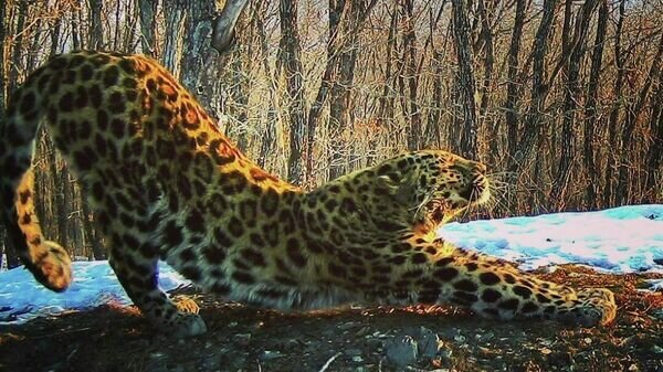 Источник: cdnn21.img.ria.ru
