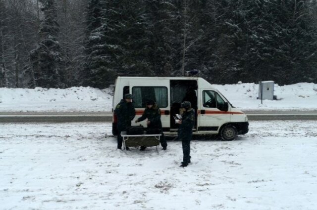    Фото: ГУ МЧС по Свердловской области