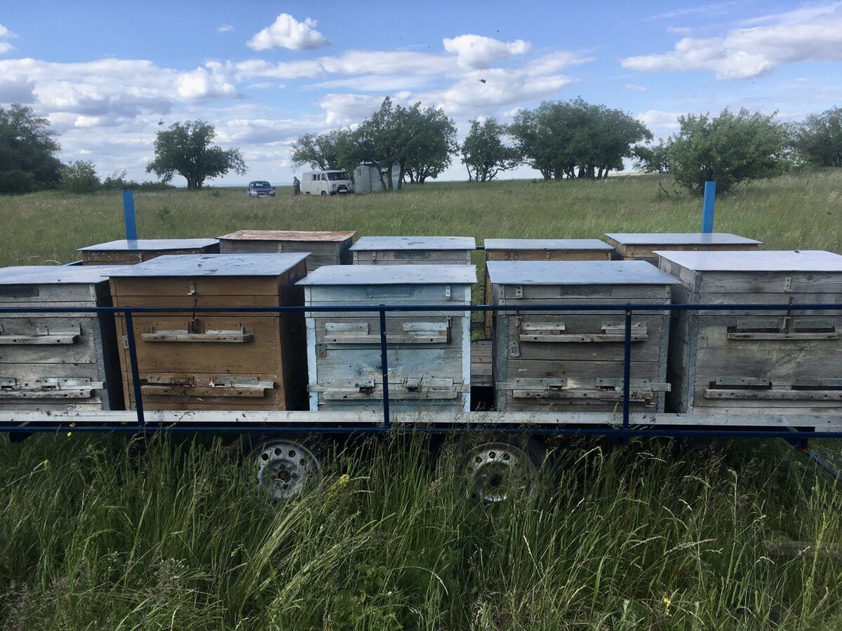 Дедовские лежаки