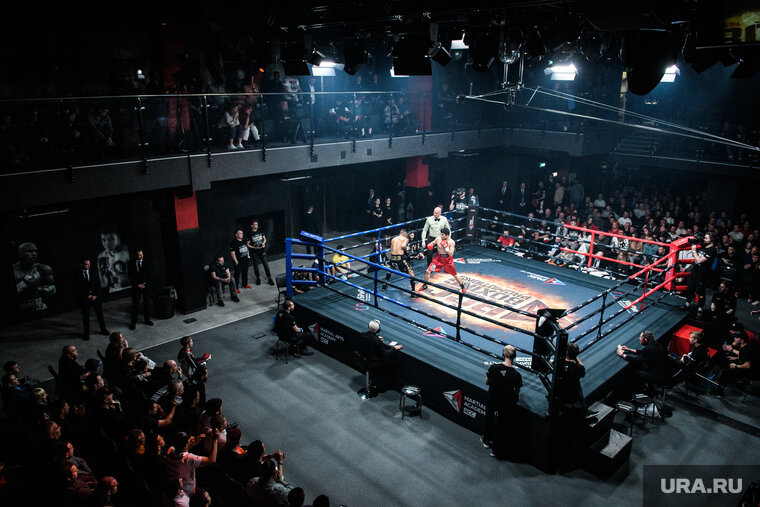    Бой между Исмаиловым и Штырковым пройдет 7 марта в ДИВСе