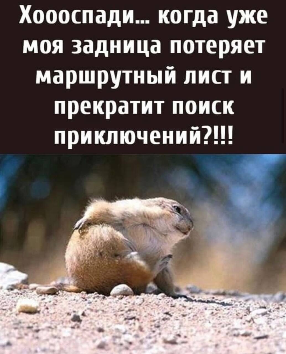 Фото моего верного коня , 