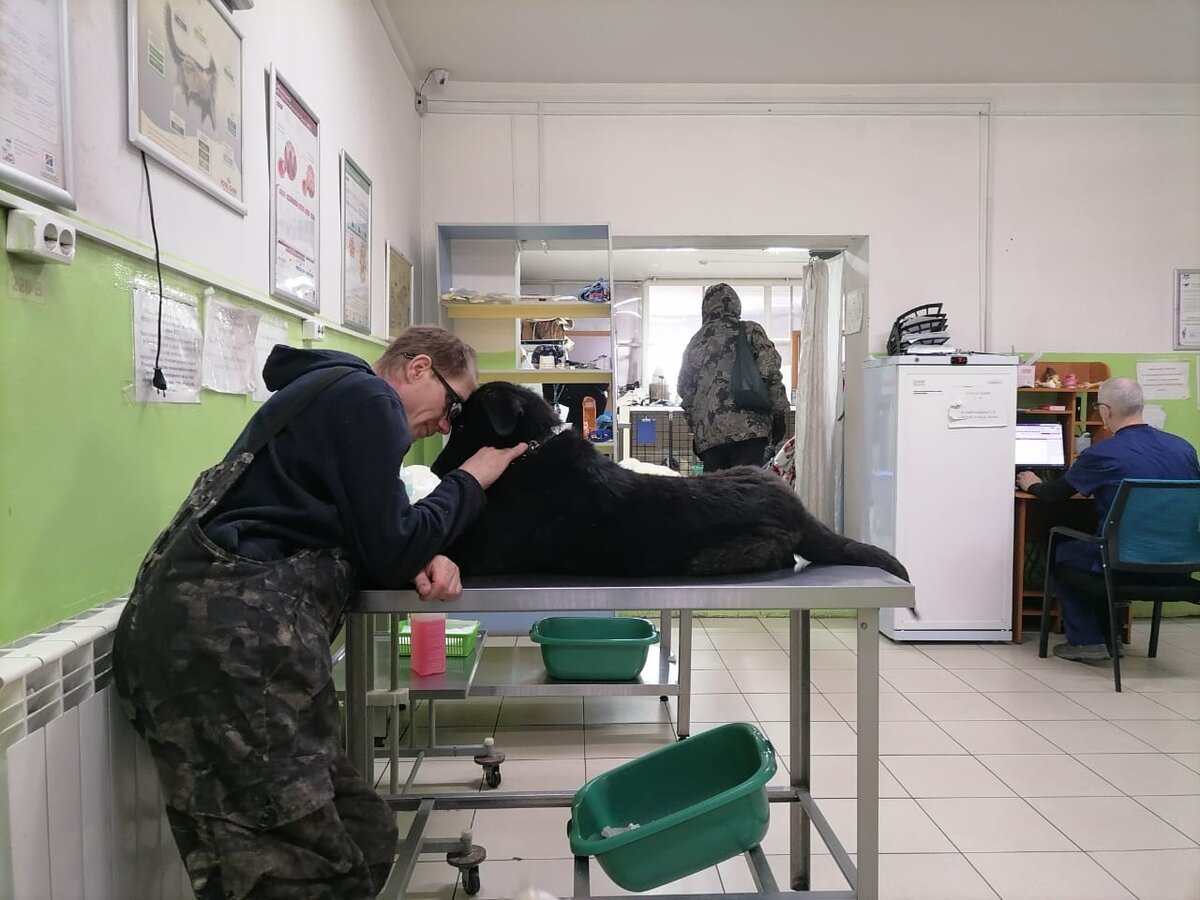 В клинике