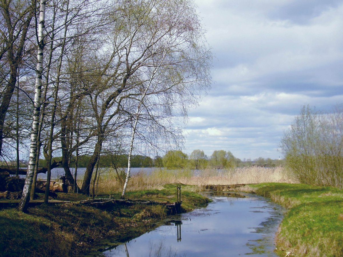 Дорогие друзья поздравляю Вас с наступлением весны, прошу поддержать мой канал подписывайтесь заранее очень благодарен вам.