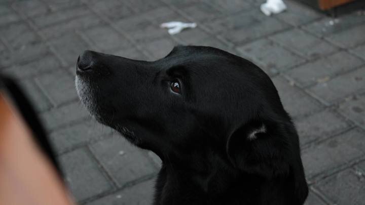 ФОТО: ЦАРЬГРАД