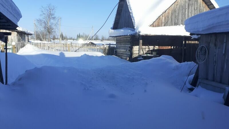 Это вид из окна Снегу ужас, как много