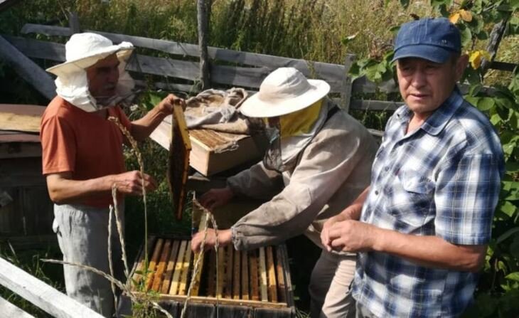    Где живут самые чистопородные пчелы в Башкирии