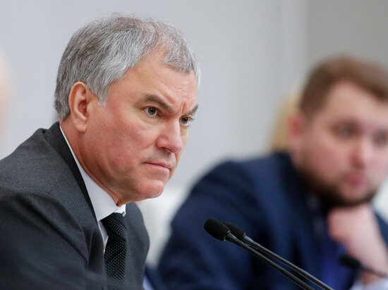     Фото: duma.gov.ru