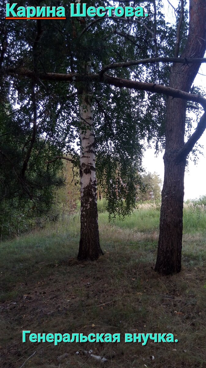 Фото из личного архива автора. 