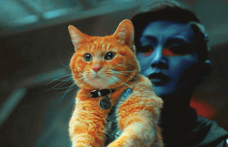    Кадр из фильма «Капитан Марвел» Анастасия Агеева