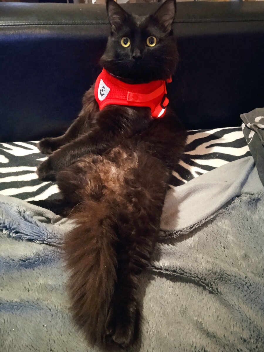    Управляющий отделением Соцфонда России по Нижегородской области ответит на вопросы жителей региона в прямом эфире Елена Власова