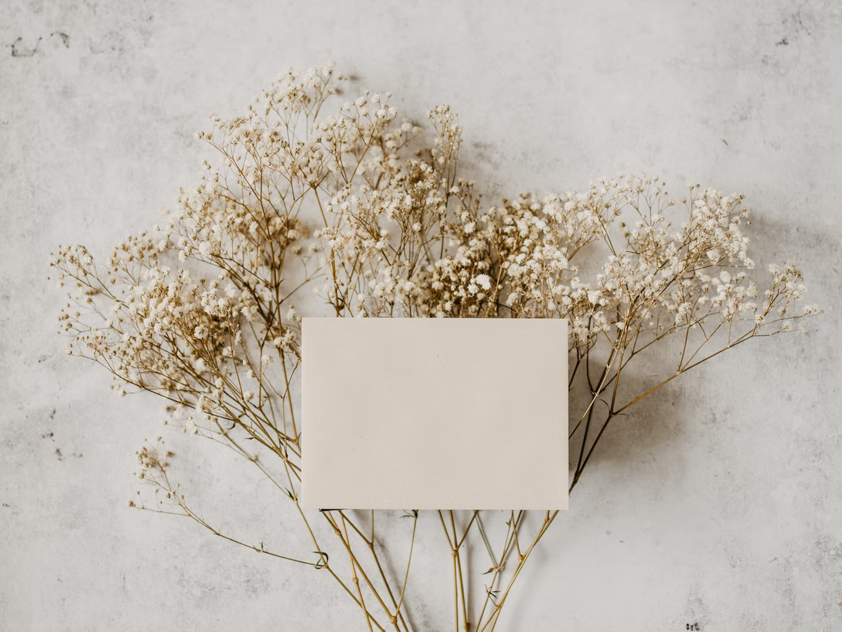 Annie Spratt/ unsplash.com 