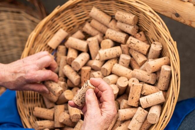 Укупорка пробок напольная для вина и шампанского