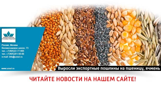 Изменение пошлин с 1 апреля 2024. Продолжительность внутреннего ячменя. Состав пшеницы и кукурузы. Сумма вывозных пошлин на пшеницу первый хлебокомбинат.