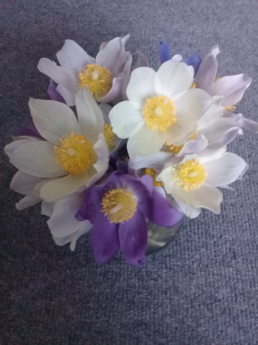 Подснежники