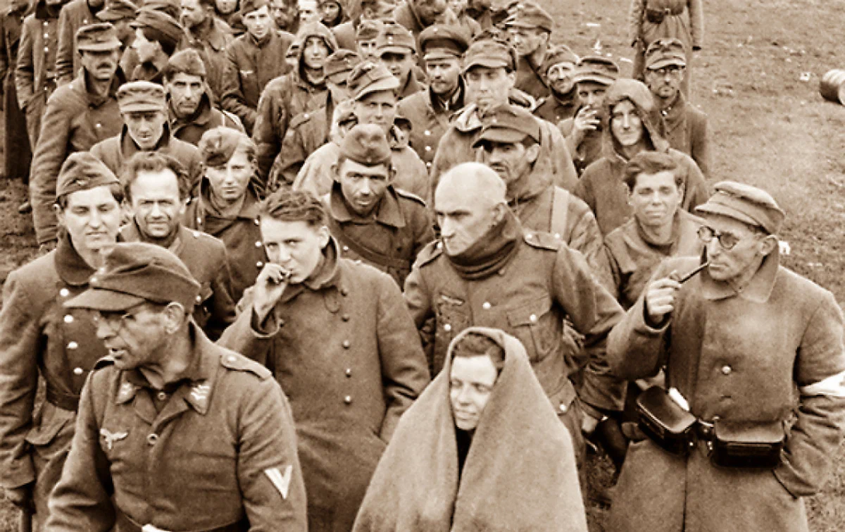 Помнишь военнопленных. Помнишь военнопленных. Плен советских солдат в 1941. Мемуары пленных советских солдат. Помнишь военнопленных.