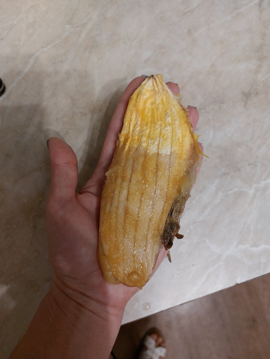 Вот такая огромная кость у меня была.