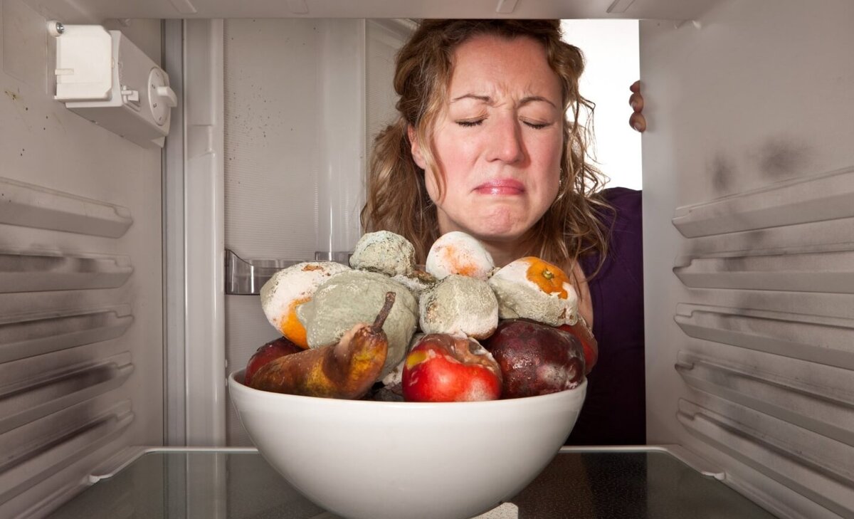    Иногда на еде образуется плесень и возникает вопрос: нужно ли ее выбрасывать?