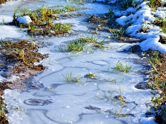     Фото pixabay.com