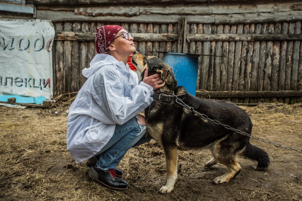    В России выдвинут условия к содержанию животных на птичьих рынках