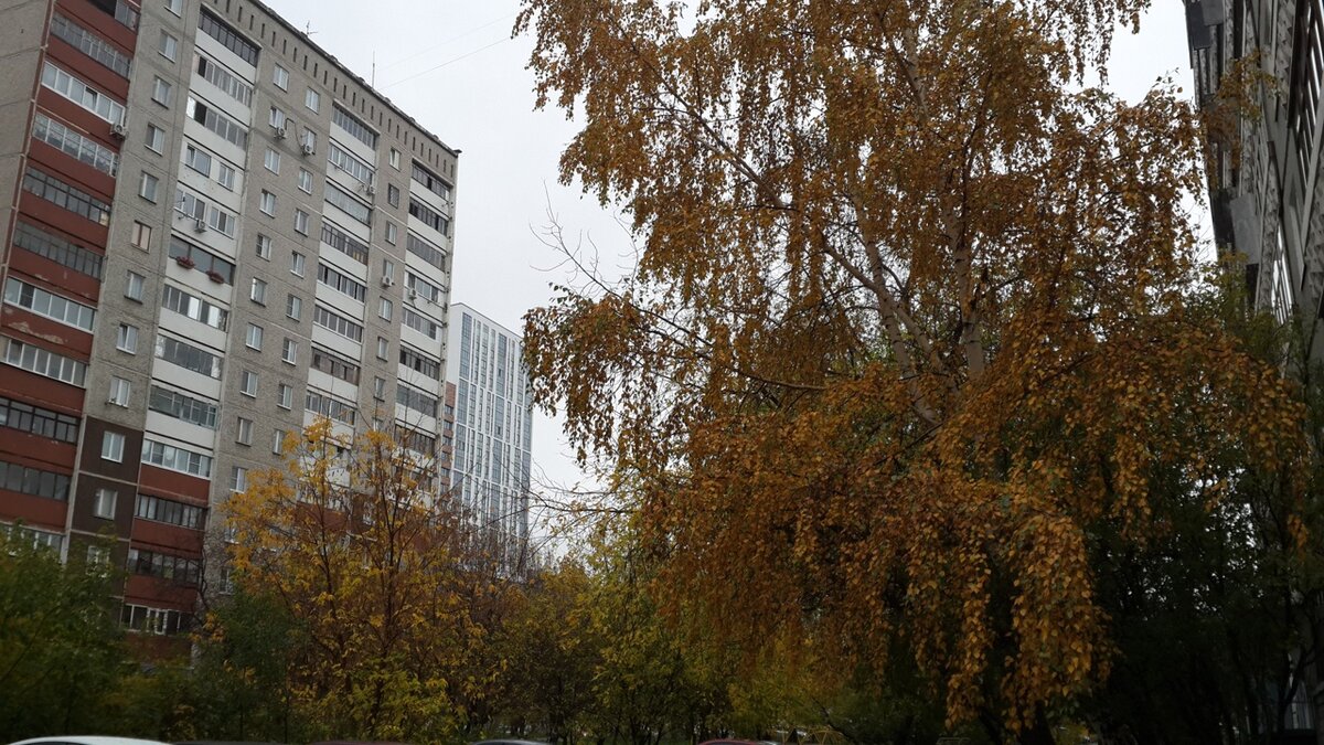 Улица Щорса (Екатеринбург)